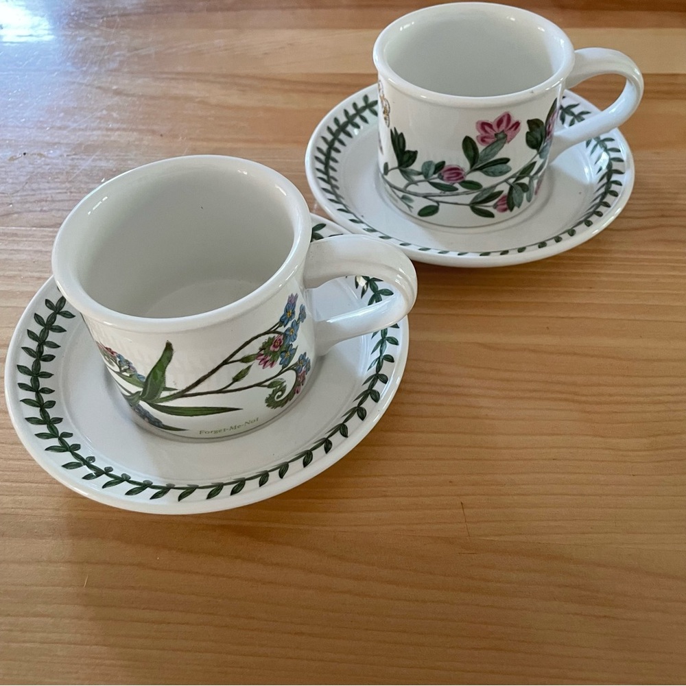 Portmeirion Floral Porcelain Cup and Saucer Set